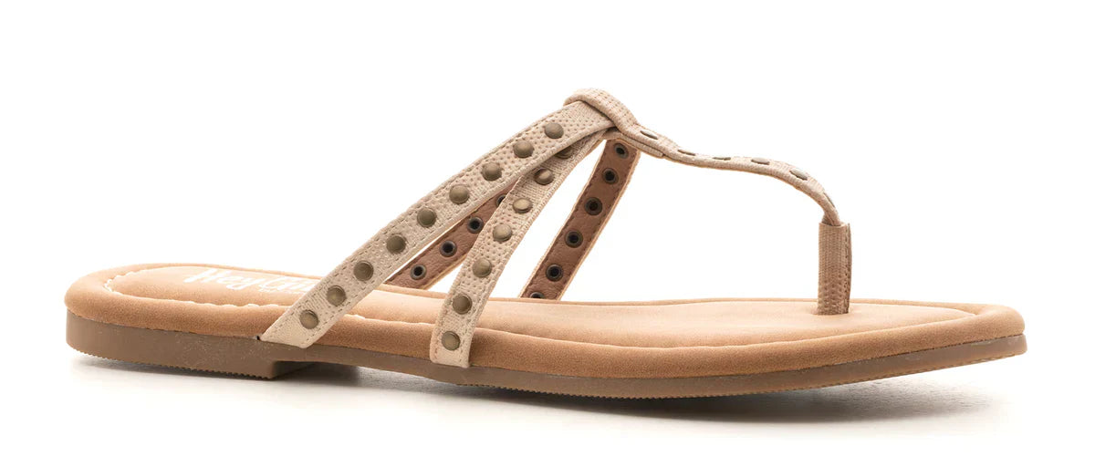 👠 The Shoe Edit