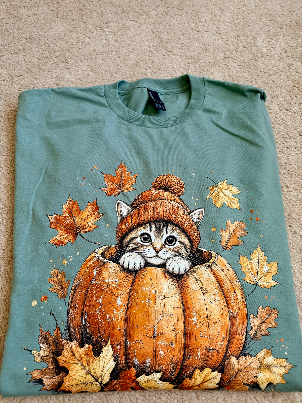 Cozy Fall Cat Pumpkin Shirt | Autumn Pumpkin Patch Tee | Modern Grace Boutique