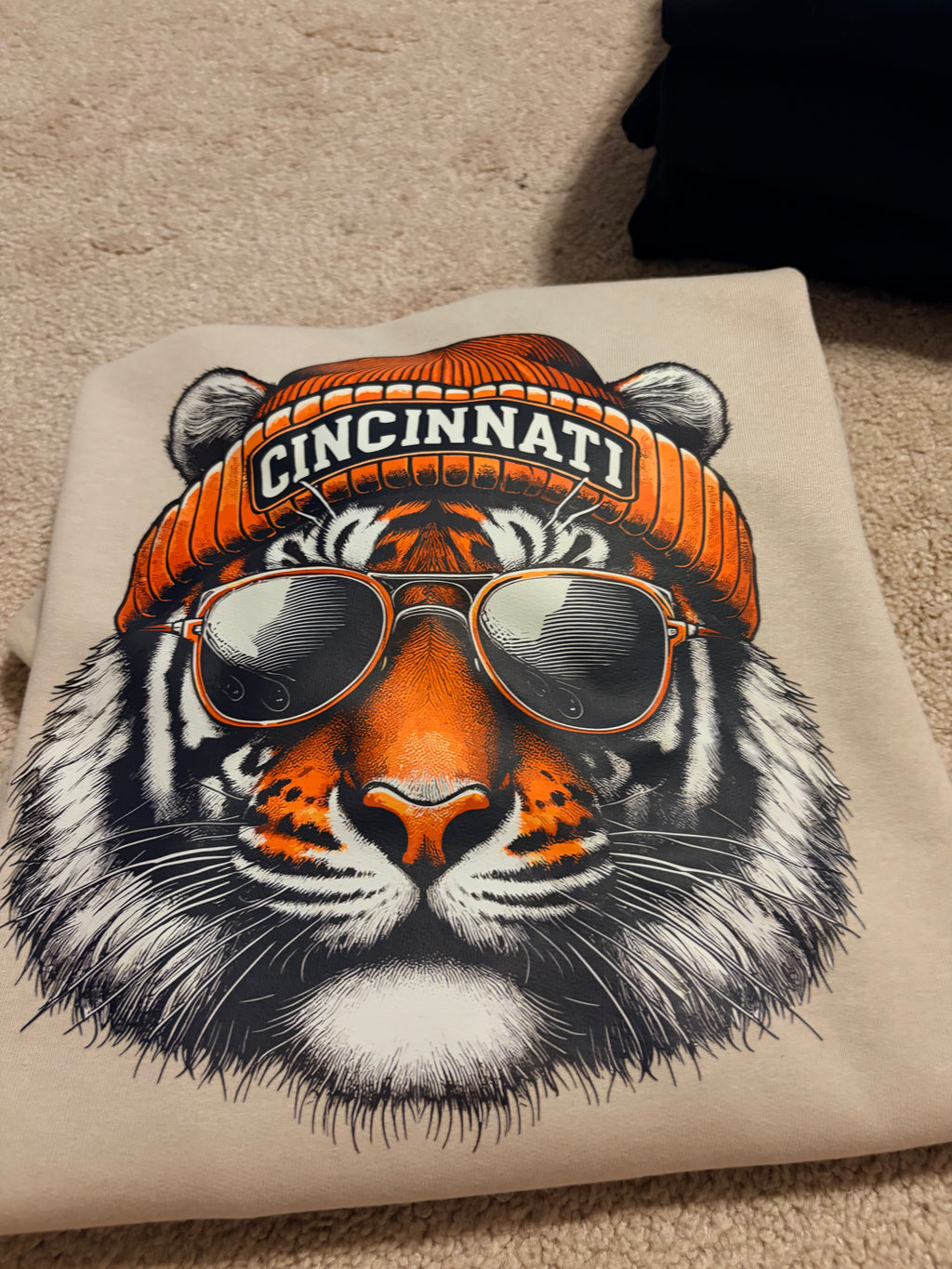 Cincinnati Football Head